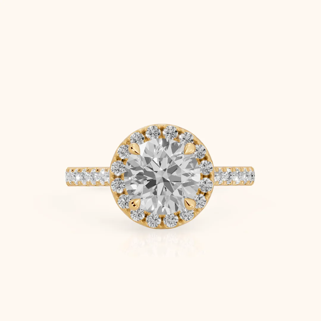 Amara Halo Claw Prong Round Diamond Ring in Yellow Gold — view 2