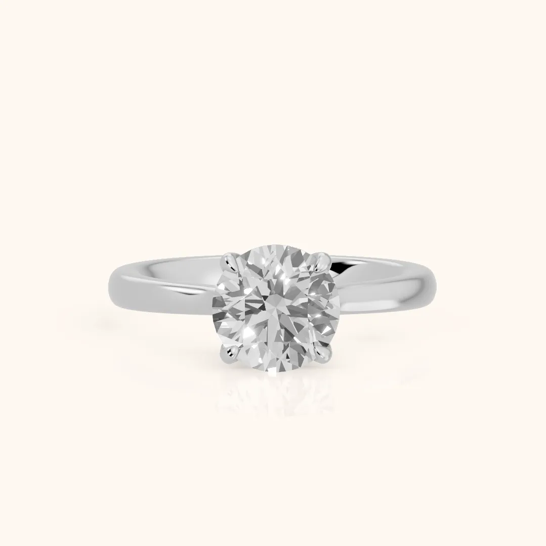 Mena Hidden Halo Round Diamond Engagement Ring in Platinum — view 2