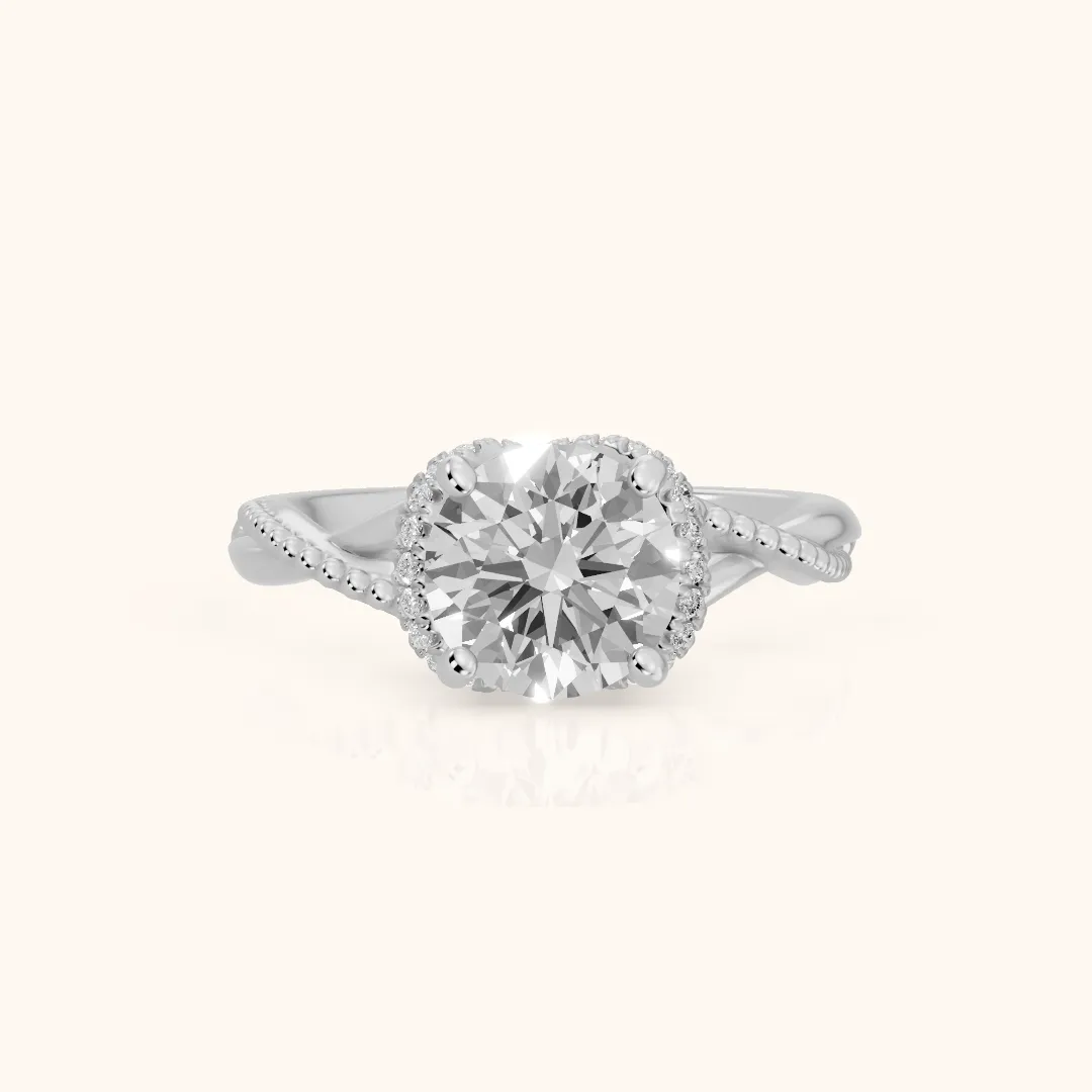 Aileen Hidden Halo Milgrain Round Diamond Engagement Ring in White Gold — view 2