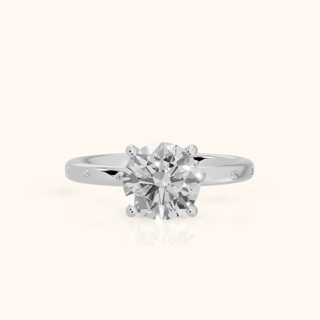 Dulcie Flush-Set Round Diamond Engagement Ring in Silver — view 2