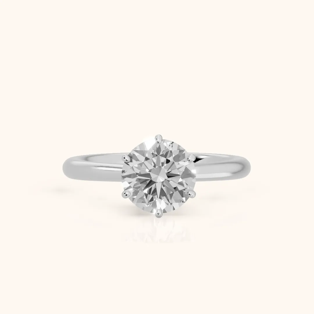 Agatha Solitaire Cathedral Round Diamond Engagement Ring in Platinum — view 2