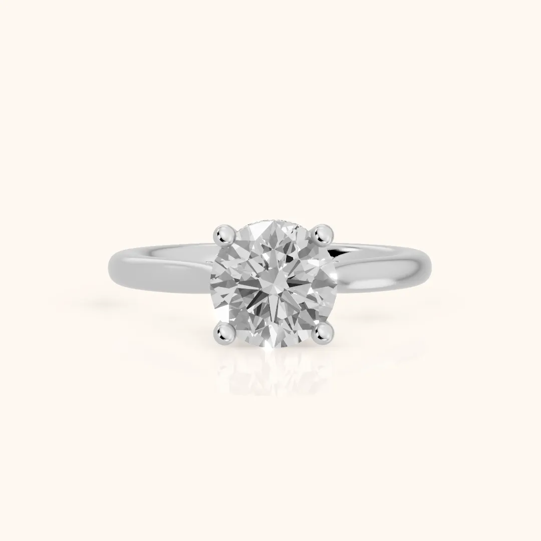 Hyacinth Hidden Halo Cathedral Round Diamond Engagement Ring in Silver — view 2