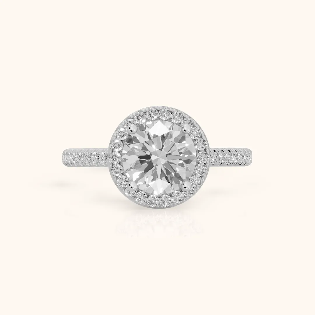 Tempe Halo Pavé Round Diamond Engagement Ring in White Gold — view 2
